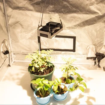 COB LED Nő a Fény Teljes Spektrumát 100W 3500K 3000K 5000K 85-265V Nő Lámpa Beltéri Hidroponikus Üvegházhatást okozó Növény Növekedési Világítás