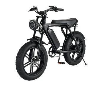 Elektromos Kerékpár, Elektromos Ciklus Hegy Elektromos Motor 750 W 1000W